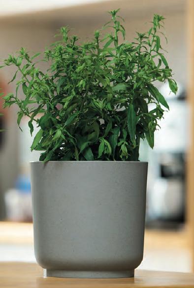 Obal Na Květináč Ecocare, Šedý, Ø/v: 25/25,5 Cm - šedá, Lifestyle, dřevo/plast (25/25,5cm) - ecoTree