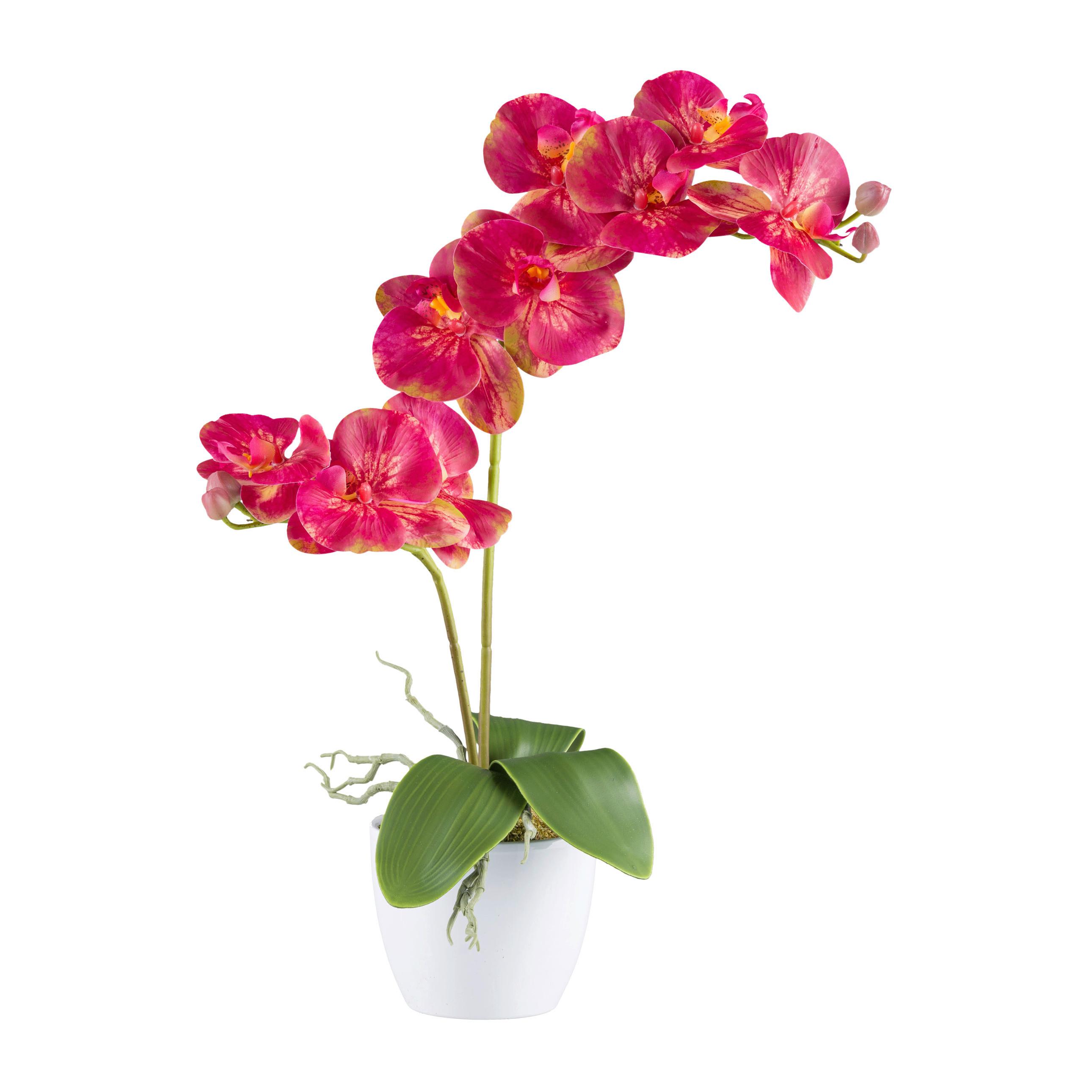 Kunstpflanze Orchideen Gelb/Grün/Pink, 57 cm - Pink/Gelb, Design, Keramik/Kunststoff (57cm) - P & B