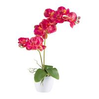 Kunstpflanze Orchideen Gelb/Grün/Pink, 57 cm - Pink/Gelb, Design, Keramik/Kunststoff (57cm) - P & B