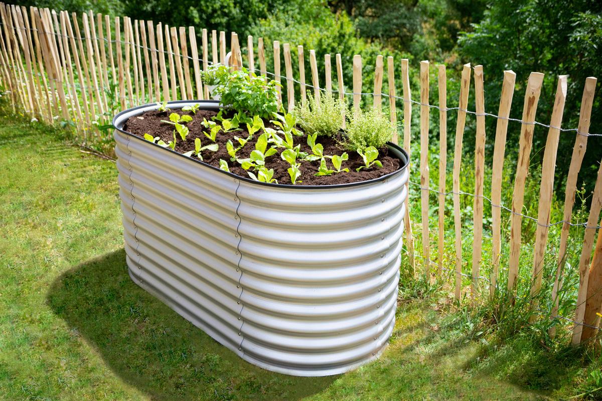 Hochbeet Metall Hochbeet Oval 160 Cm - Silberfarben, Basics, Metall (160/82/80cm)