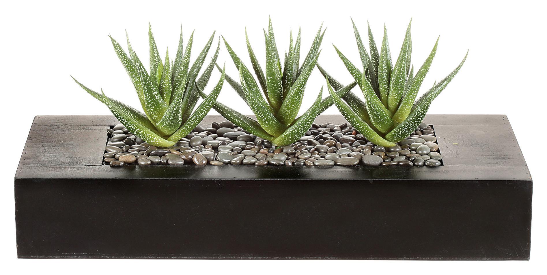 Kunstpflanze Agave, Grün, Braun, inkl. Topf, H: 16 cm - Braun/Grün, Design, Holz/Kunststoff (16cm) - P & B