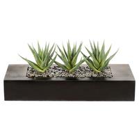 Kunstpflanze Agave, Grün, Braun, inkl. Topf, H: 16 cm - Braun/Grün, Design, Holz/Kunststoff (16cm) - P & B