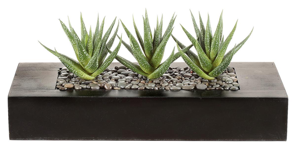 Kunstpflanze Agave, Grün, Braun, inkl. Topf, H: 16 cm - Braun/Grün, Design, Holz/Kunststoff (16cm) - P & B