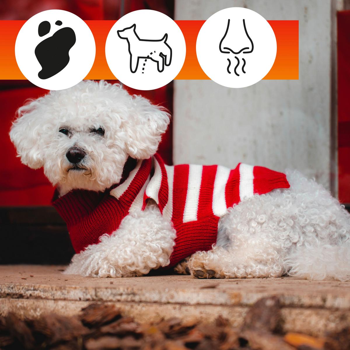 Stoffschutz Oa Pets Set Oa Pets - Basics, Kunststoff (22,5/18,5/8,5cm)