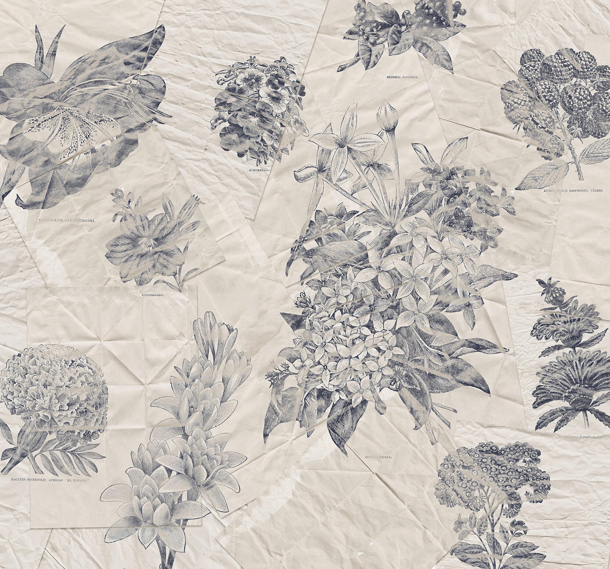 Fototapete R3-045 Botanical Papers - Schwarz/Grau, Trend (300/280cm)