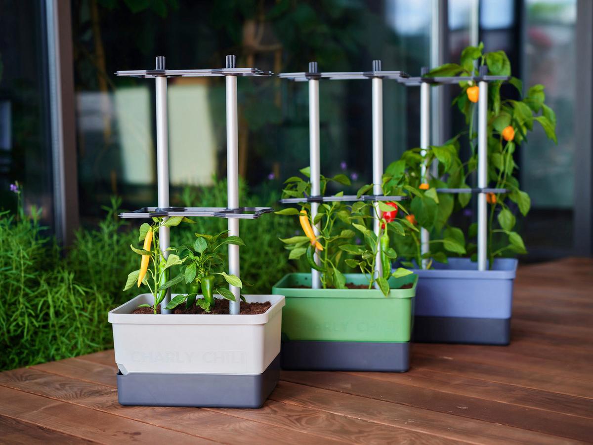 Pflanztopf grau/Hellgrau - Hellgrau/Grau, Basics, Kunststoff (34,5/69/27,5cm) - Gusta Garden