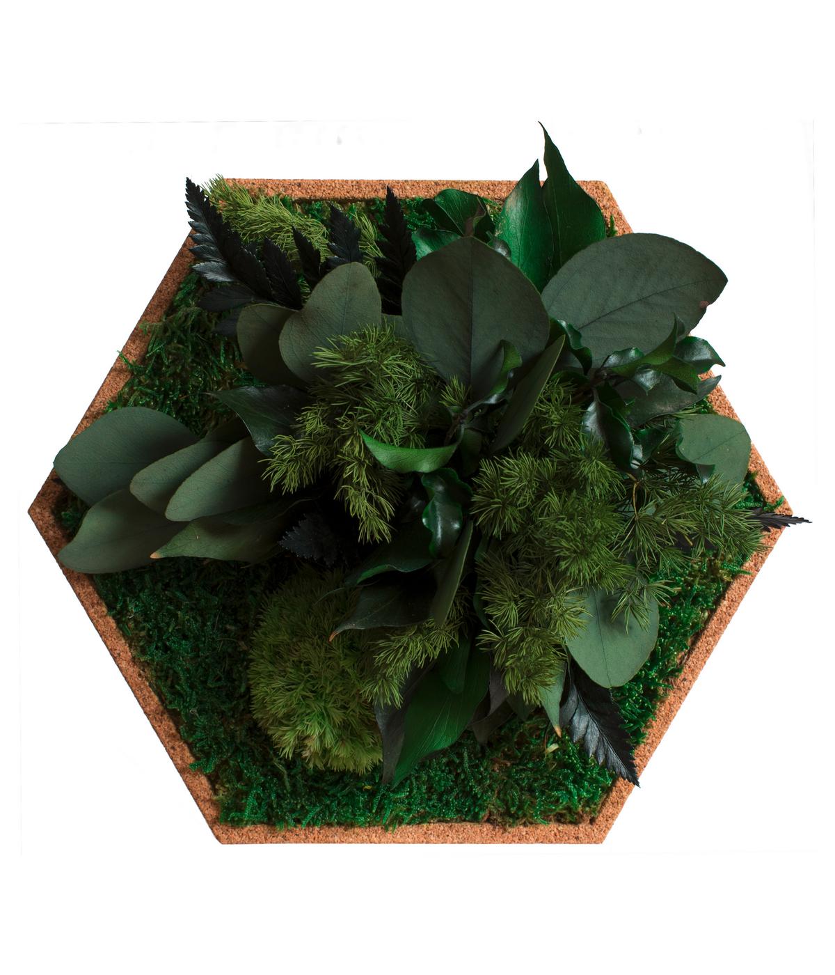 Moospaneel Grün Hellbraun B: 19 cm - Hellbraun/Grün, Basics, Naturmaterialien/Holz (19/22cm)