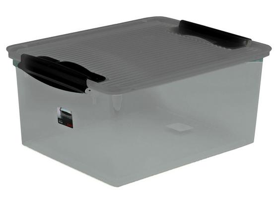 Box mit Deckel Wild Dove ca. 15 L - Grau, KONVENTIONELL, Kunststoff (38/29/17cm) - Plast 1 Box mit Deckel Wild Dove ca. 15 L - Grau, KONVENTIONELL, Kunststoff (38/29/17cm) - Plast 1