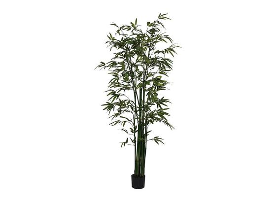 Umelá Rastlina Bambus I - zelená, kompozitné drevo/plast (180cm) Umelá Rastlina Bambus I - zelená, kompozitné drevo/plast (180cm)