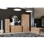 Drehtürenschrank grifflos 78cm Adriana, Eiche Dekor - Eichefarben, MODERN, Holzwerkstoff (78/195/55cm) Drehtürenschrank grifflos 78cm Adriana, Eiche Dekor - Eichefarben, MODERN, Holzwerkstoff (78/195/55cm)