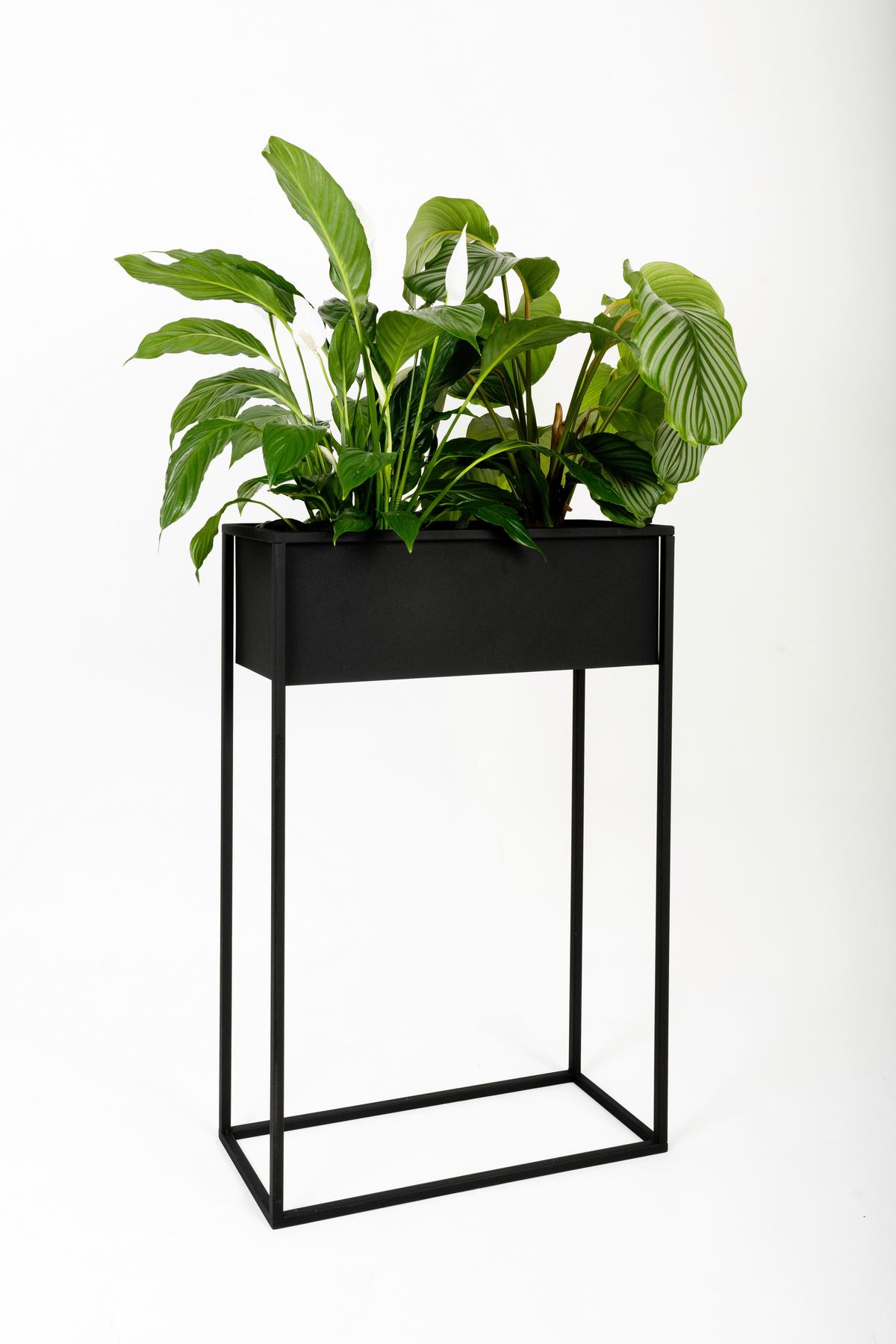 Blumenständer Metall Schwarz Bxhxt: 60x23x90 Cm - Schwarz, Basics, Metall (60/23/90cm)