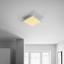 Stropní Led Svítidlo Ola 30/30cm, 12 Watt - bílá/opál, Lifestyle, kov/umělá hmota (30/30/6cm) - Modern Living Stropní Led Svítidlo Ola 30/30cm, 12 Watt - bílá/opál, Lifestyle, kov/umělá hmota (30/30/6cm) - Modern Living
