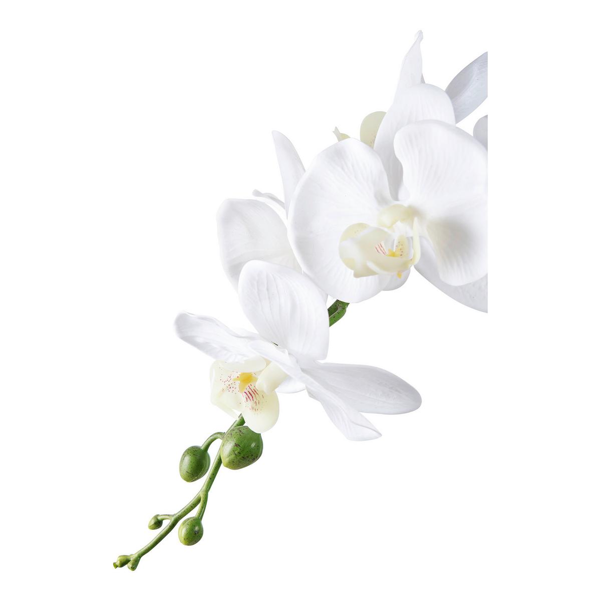 Kunstpflanze Orchid Weiß B: 21 cm - Weiß, Design (21/47/34cm)