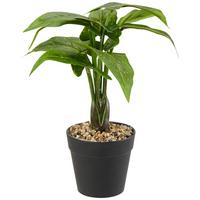 Kunstpflanze Dieffenbachia Grün/schwarz L: 30 Cm Mit Topf - Schwarz/Grün, KONVENTIONELL, Kunststoff (30cm)