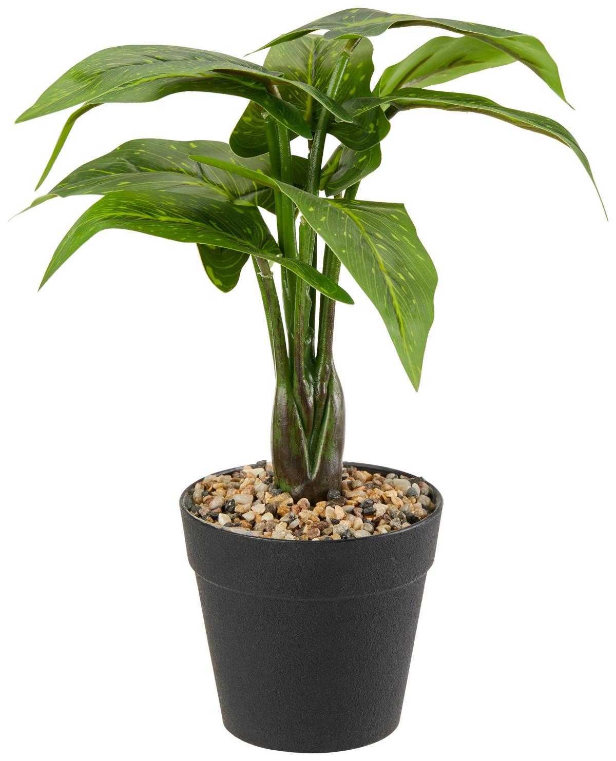 Kunstpflanze Dieffenbachia Grün/schwarz L: 30 Cm Mit Topf - Schwarz/Grün, KONVENTIONELL, Kunststoff (30cm)
