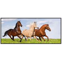 Leinwandbild Amadeus - Multicolor/Schwarz, KONVENTIONELL, Holzwerkstoff/Kunststoff (120/50/2,8cm) - Luca Bessoni