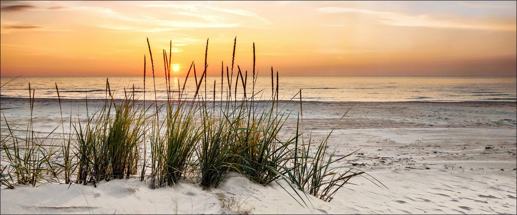 Wandbild Sonnenunterganz Natur/Orange 117x49 cm