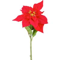 Kunstpflanze Poinsettia - Rot/Grün, KONVENTIONELL, Kunststoff (60cm)