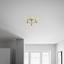 Bodové Led Svítidlo Fritz - Konvenční, kov (25/15cm) - Mömax modern living Bodové Led Svítidlo Fritz - Konvenční, kov (25/15cm) - Mömax modern living