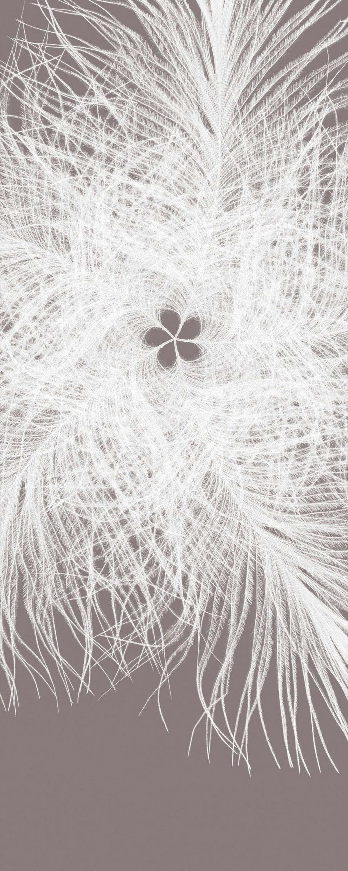 Vliestapete Federkern - Weiß/Grau, Basics (100/250cm) - Komar