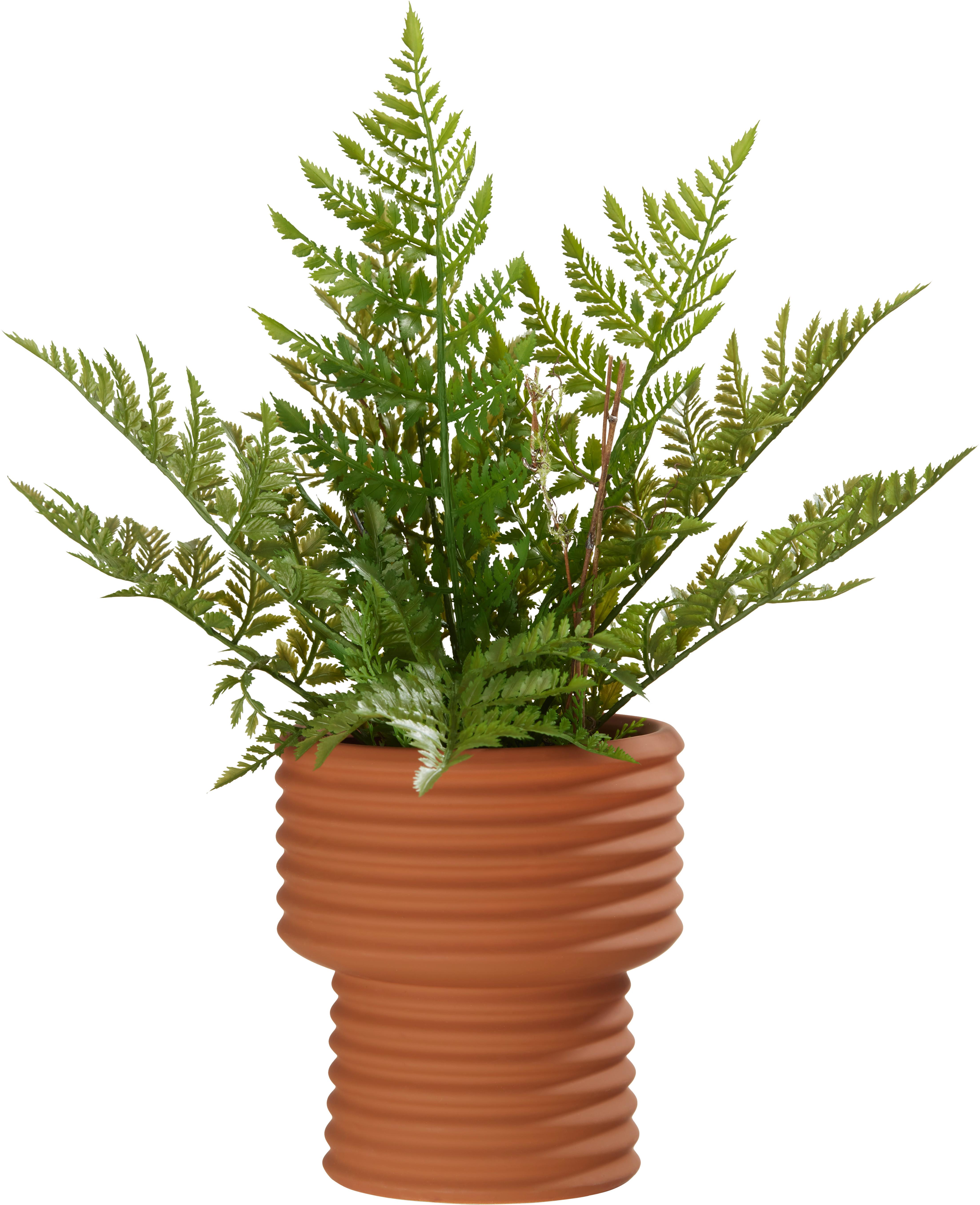 Obal na květináč Lilian, V: 18cm - hnědá, Basics, keramika (16/18cm) - Modern Living