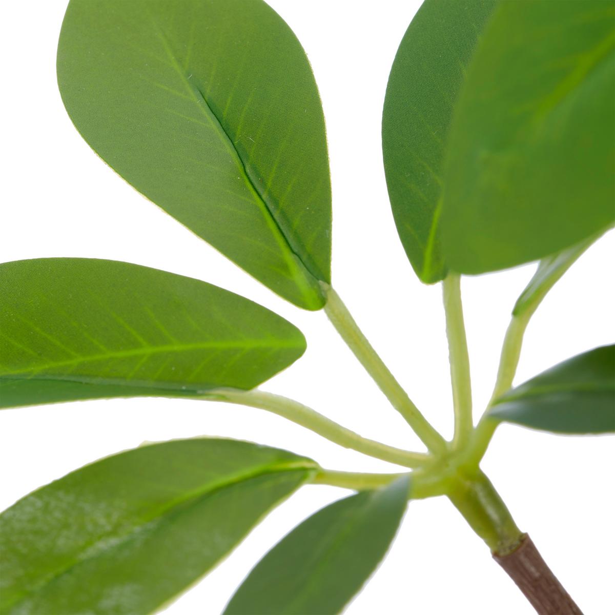 Umělá rostlina šeflera SCHEFFERAZWEIG II -PAZ- - zelená, Basics, kov/plast (73cm) - Mömax