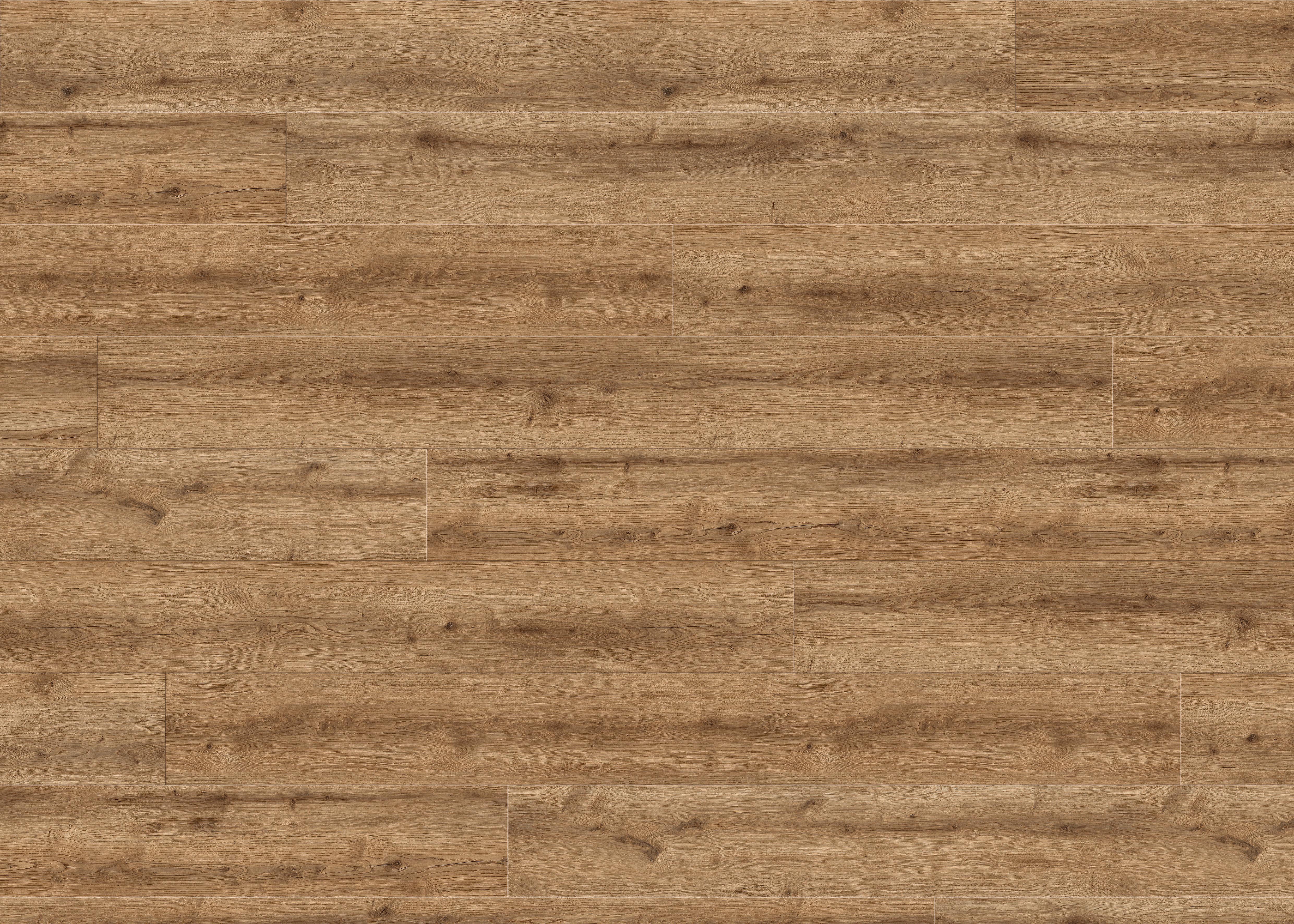 Designboden Eichefarben Landhausdiele Stärke 8mm - Eichefarben, Basics, Holzwerkstoff (24.3/220cm) - Living by HARO