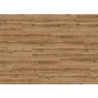 Designboden Eichefarben Landhausdiele Stärke 8mm - Eichefarben, Basics, Holzwerkstoff (24.3/220cm) - Living by HARO