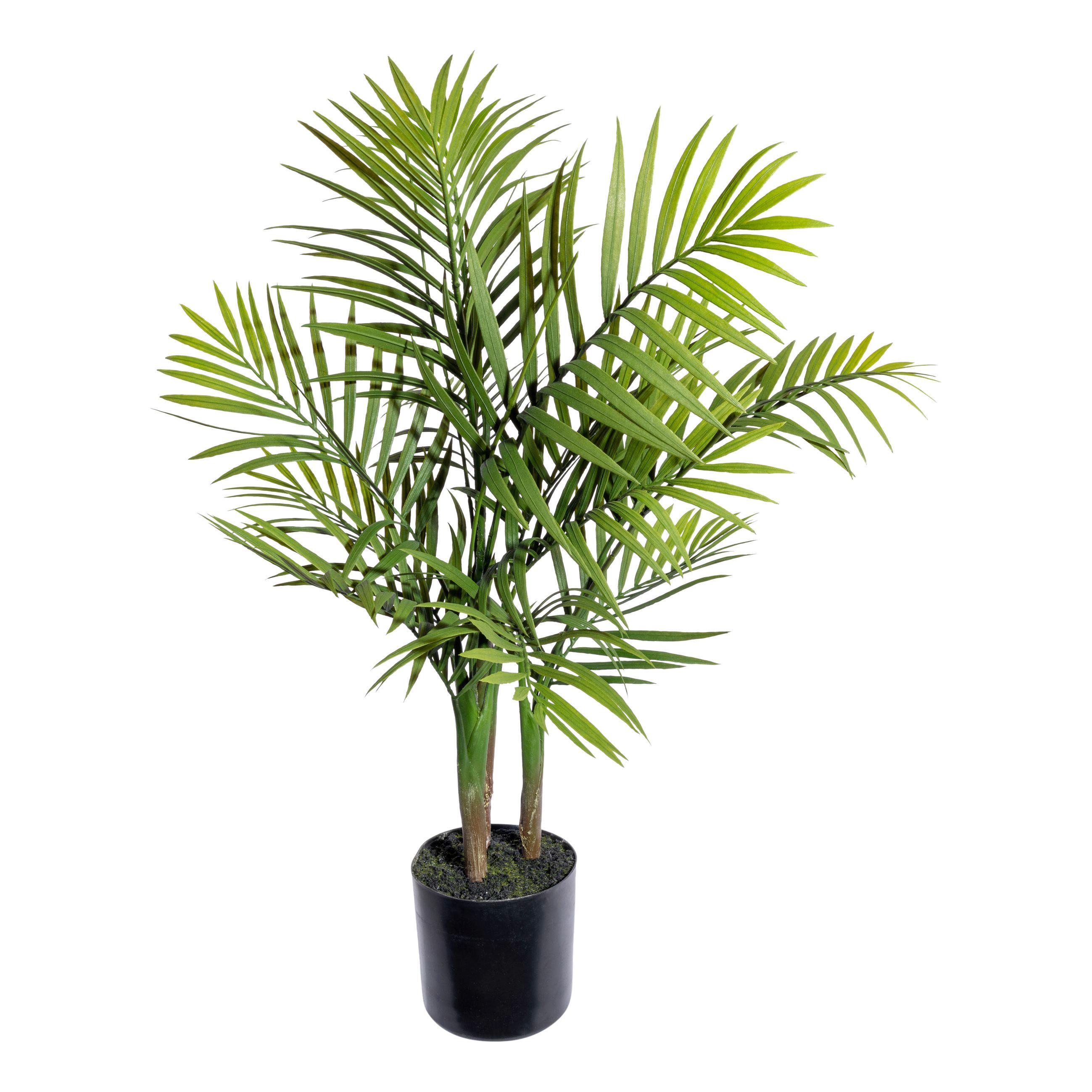 UMĚLÁ ROSTLINA BERGPALME II - černá/zelená, Basics, plast (65cm) - Modern Living