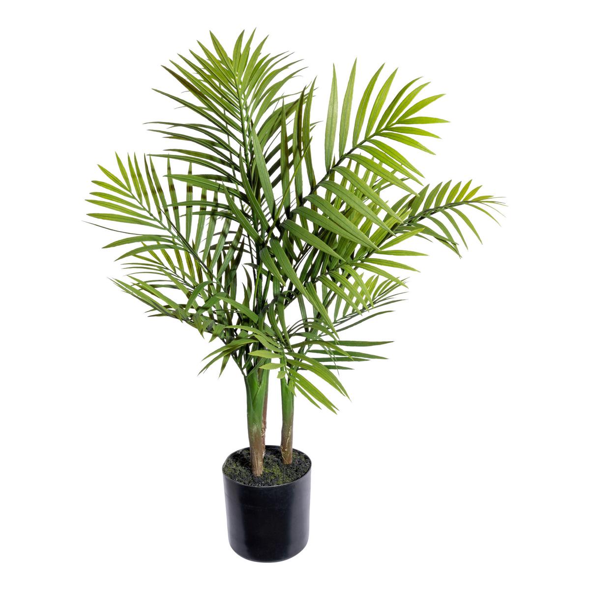 UMĚLÁ ROSTLINA BERGPALME II - černá/zelená, Basics, plast (65cm) - Modern Living