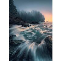 Fototapete Cry Of The Sea - Blau, Trend, Textil (200/280cm)