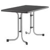 Gartentisch Klappbar Stahl L: 115cm - Graphitfarben, MODERN, Holzwerkstoff/Metall (115/70/72cm) - Sieger