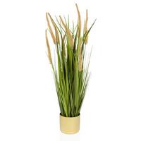 KUNSTPFLANZE Grün/Beige/Goldfarben B: 20 cm - Beige/Goldfarben, MODERN, Kunststoff (20/78/20cm) - MID.YOU