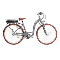 Elektrofahrrad Le Grand Elille 1 - Grau, KONVENTIONELL, Metall (170/60/110cm)