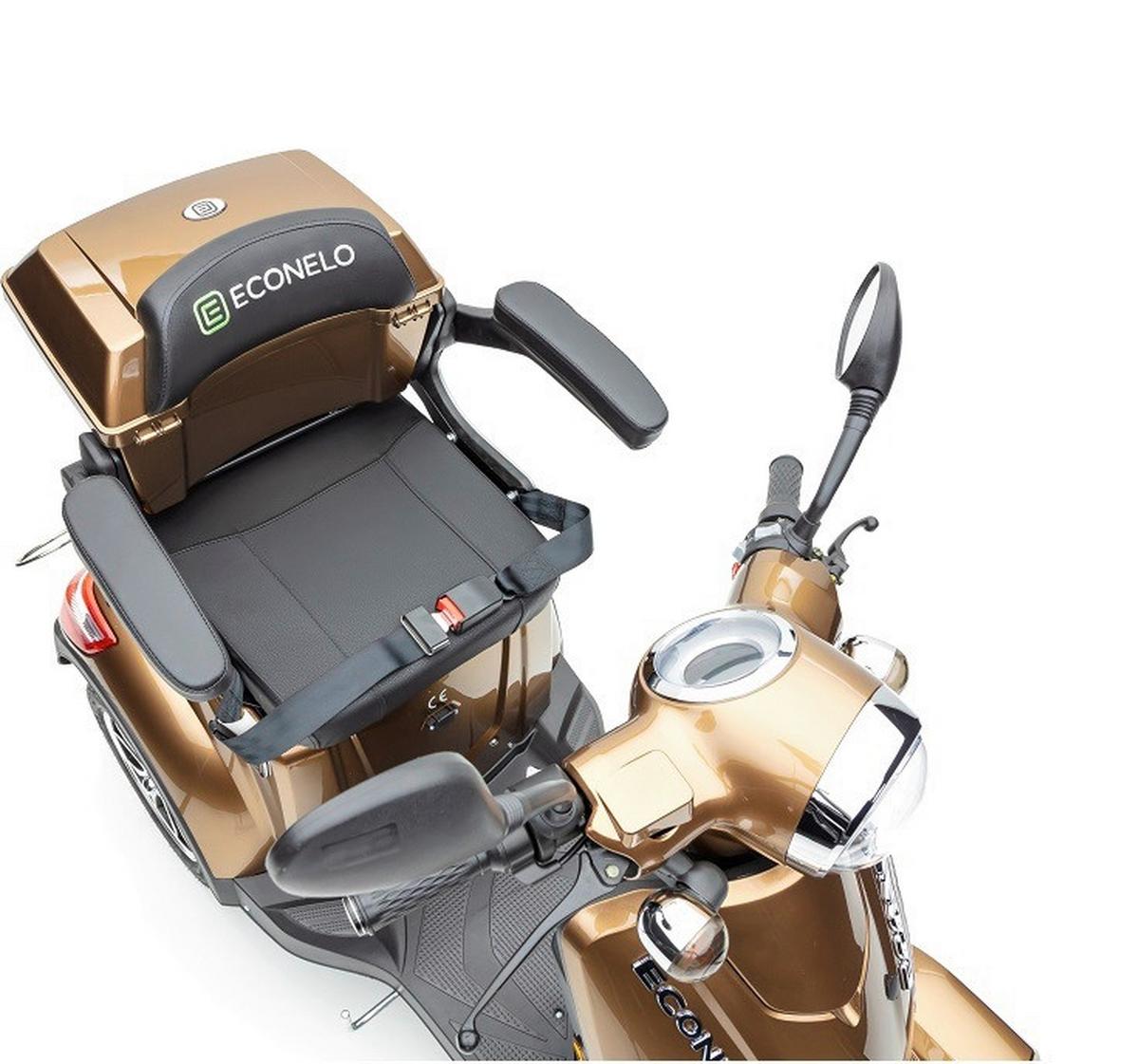 ELEKTROMOBIL E-J4000-BROWN - Goldbraun, Basics, Metall (146/70/100cm)