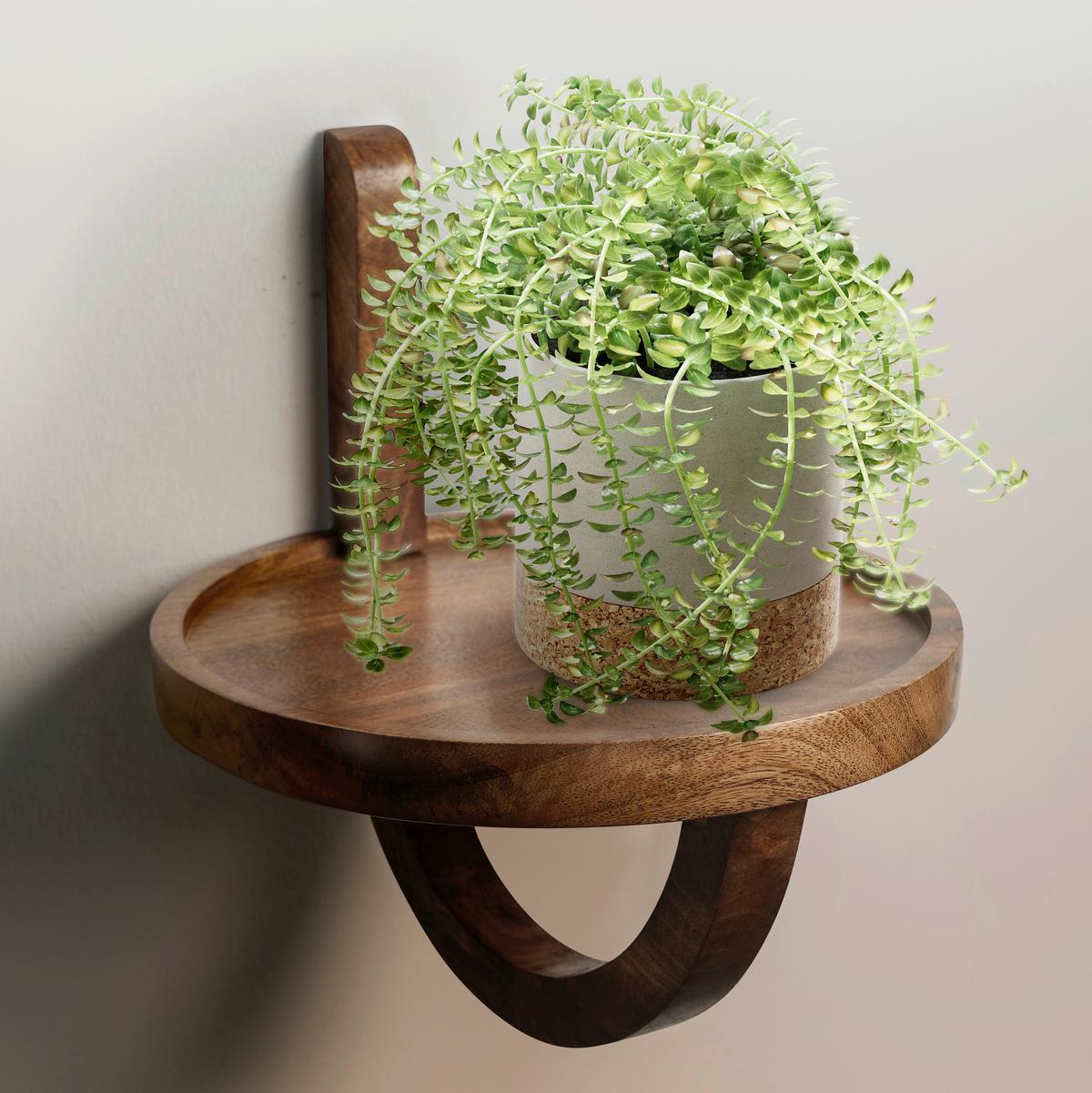 Wandregal Naturfarben, B: 30 Cm - Naturfarben, Natur, Holz (30/33/30cm) - MID.YOU