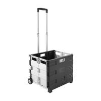 Klappbox-Trolley Chrisi Kunststoff 45,5x98x38 cm - Schwarz/Grau, KONVENTIONELL, Kunststoff/Metall (45,5/98/38cm) - Homezone