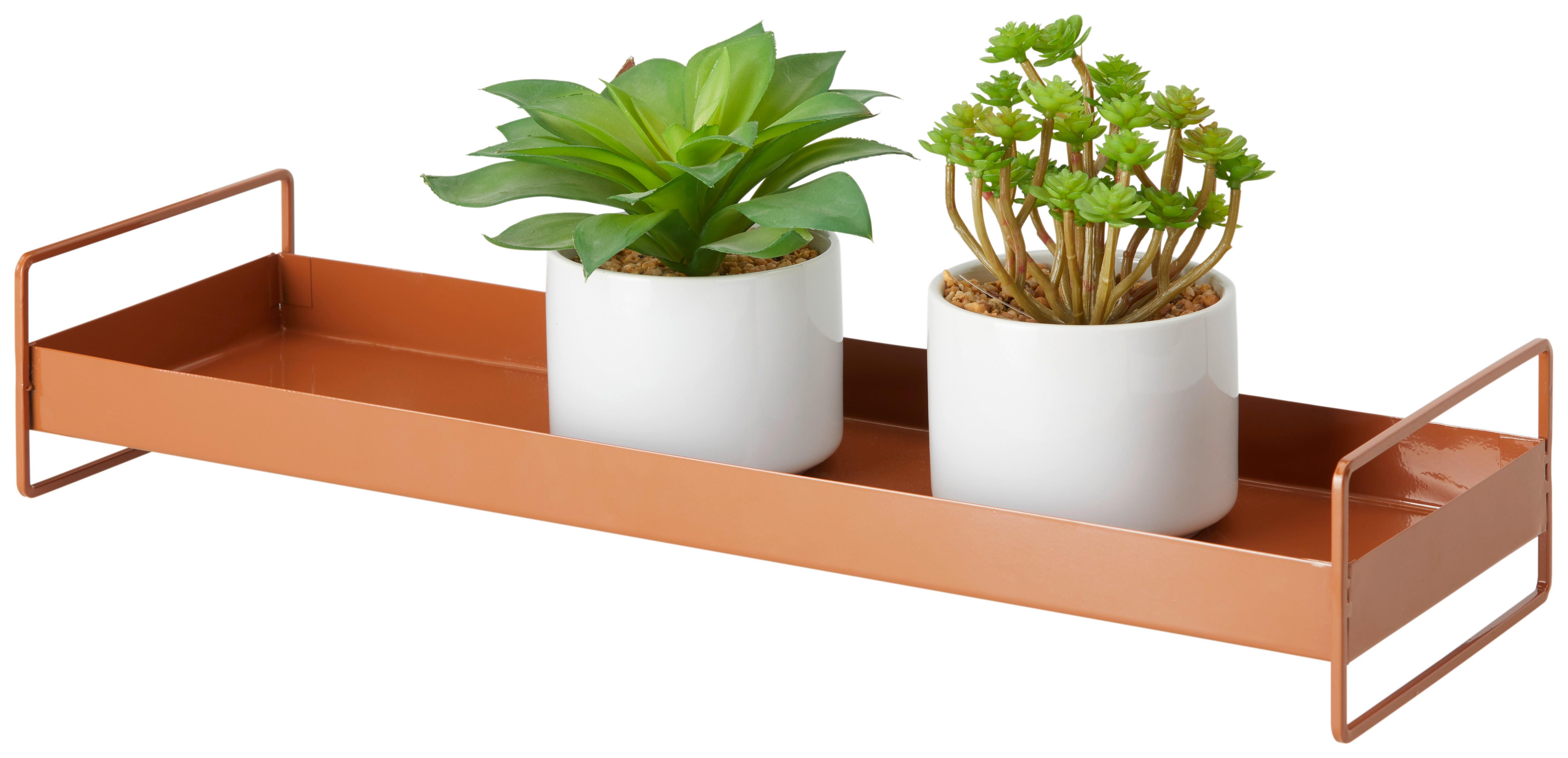 Dekorační podnos Wolga, 50/16cm - hnědá, Basics, kov (50/8,5/16cm) - Modern Living