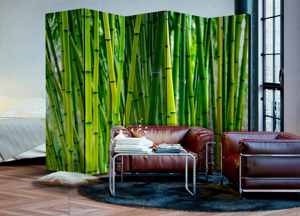 Paravent Hellgrün B: 225 cm - Hellgrün, Basics, Holz/Kunststoff (225/172/3cm) - artgeist