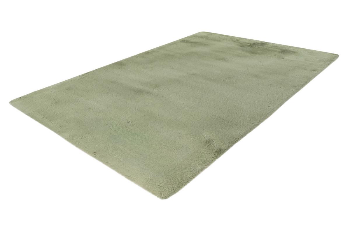 Hochteppich Rabbit Mintgrün, 120x170 cm - Mintgrün, KONVENTIONELL, Textil (120/170cm)