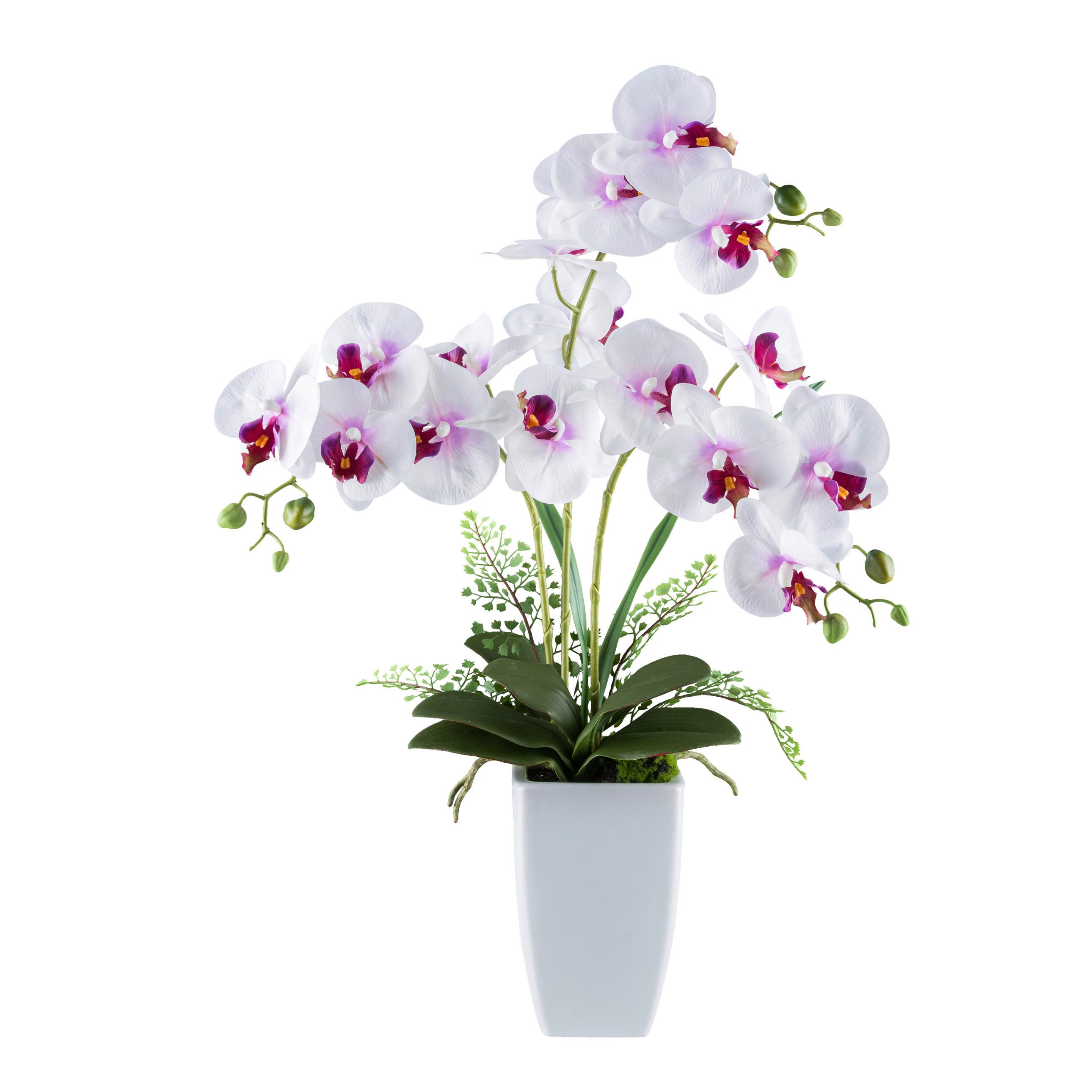 Kunstpflanze Orchideen Grün/rosa/weiß, 67 Cm - Rosa/Weiß, Design, Keramik/Kunststoff (67cm) - P & B