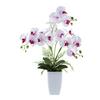 Kunstpflanze Orchideen Grün/rosa/weiß, 67 Cm - Rosa/Weiß, Design, Keramik/Kunststoff (67cm) - P & B