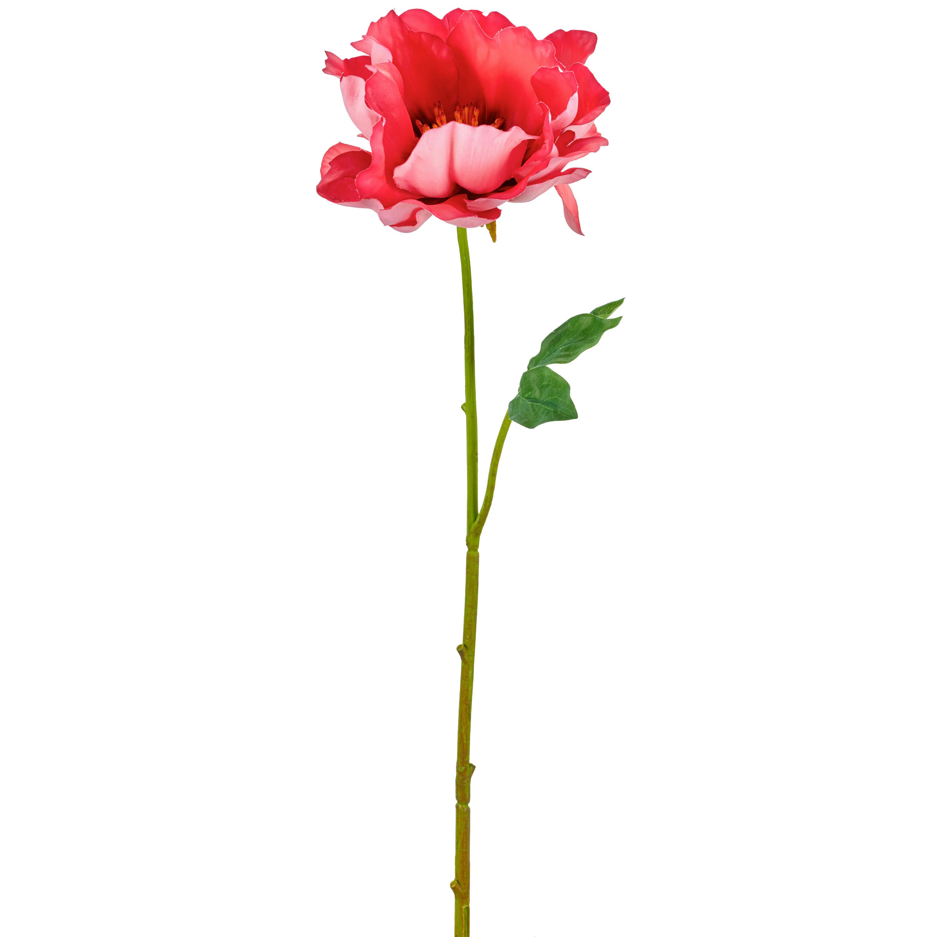 Päonienzweig koralle, 56 cm