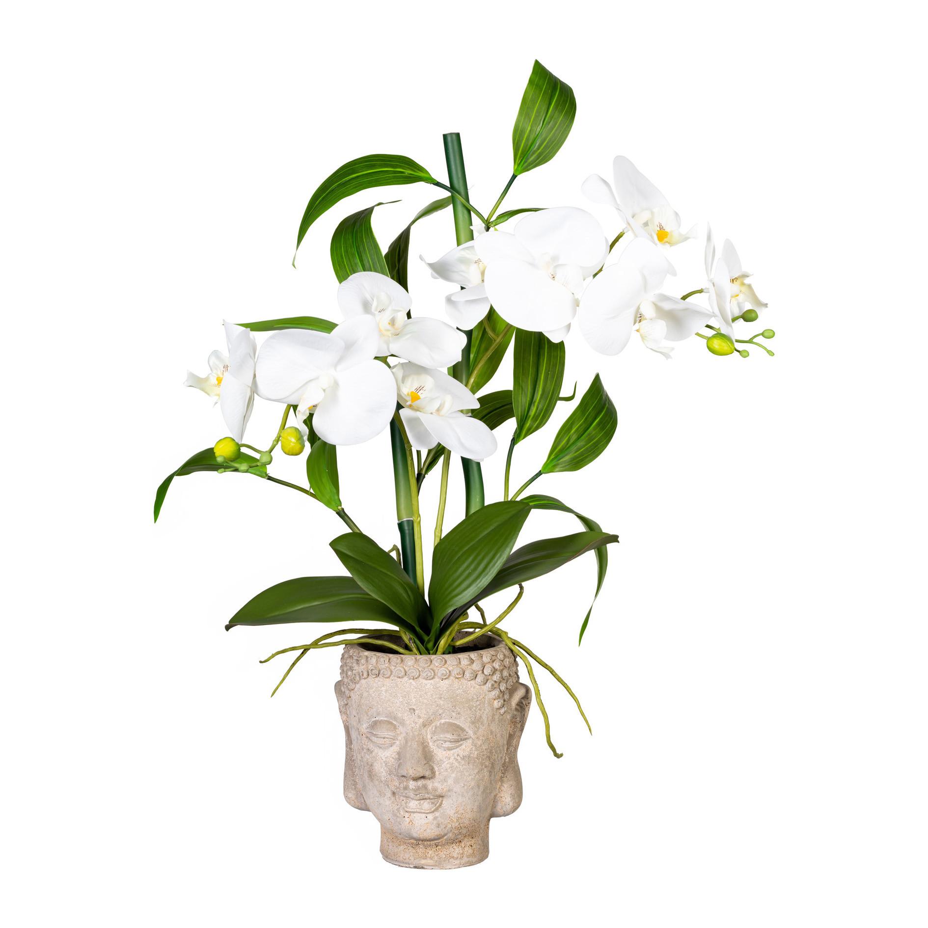 Kunstpflanze Orchideen Braun/Grün/Weiß, 60 cm - Braun/Weiß, Design, Kunststoff/Stein (60cm) - P & B