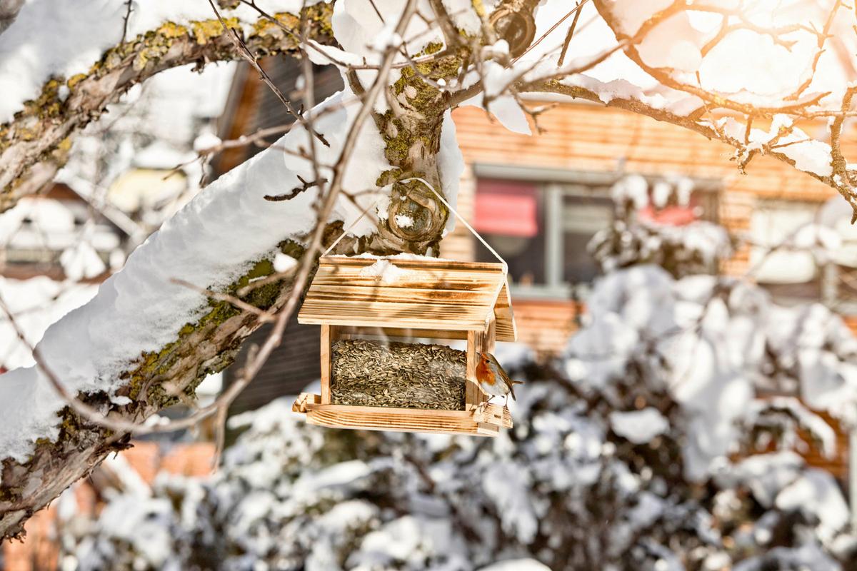 Vogelfuttersilo Grossvenediger ,kiefer - Naturfarben, Basics, Holz (18/28/24cm) - Windhager