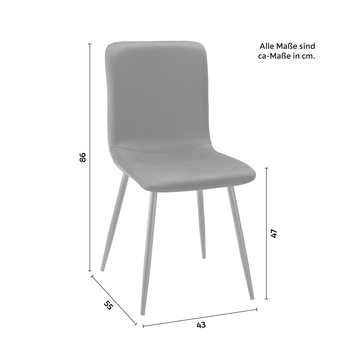 Jídelní židle ELIF černá - černá/tmavě šedá, Moderní, kov/dřevo (43/86/55cm) - P & B