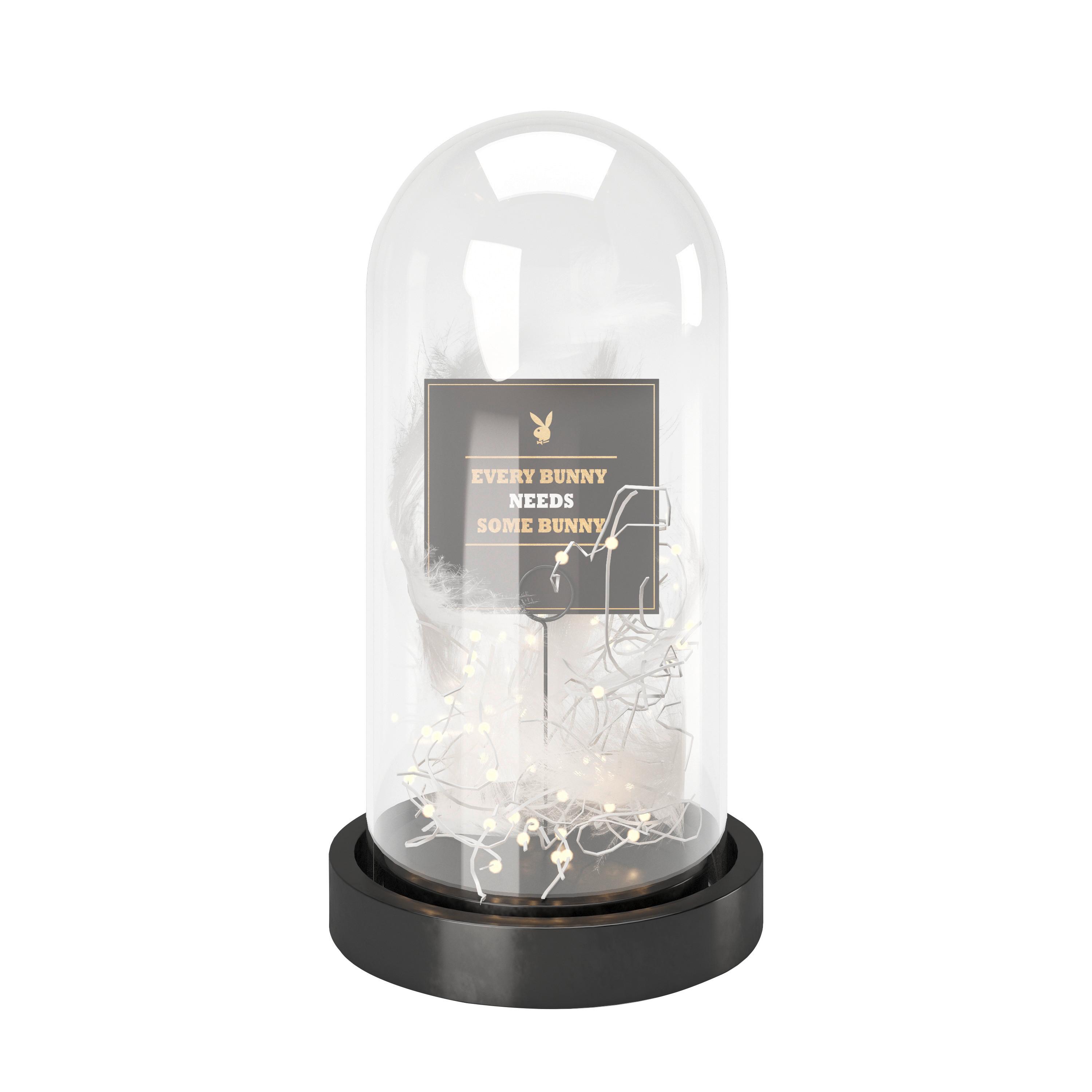 Led-dekoleuchte Ann Schwarz Batterienbetrieb - Schwarz, Basics, Glas/Kunststoff (14/26,7/14cm) - Playboy