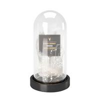 Led-dekoleuchte Ann Schwarz Batterienbetrieb - Schwarz, Basics, Glas/Kunststoff (14/26,7/14cm) - Playboy