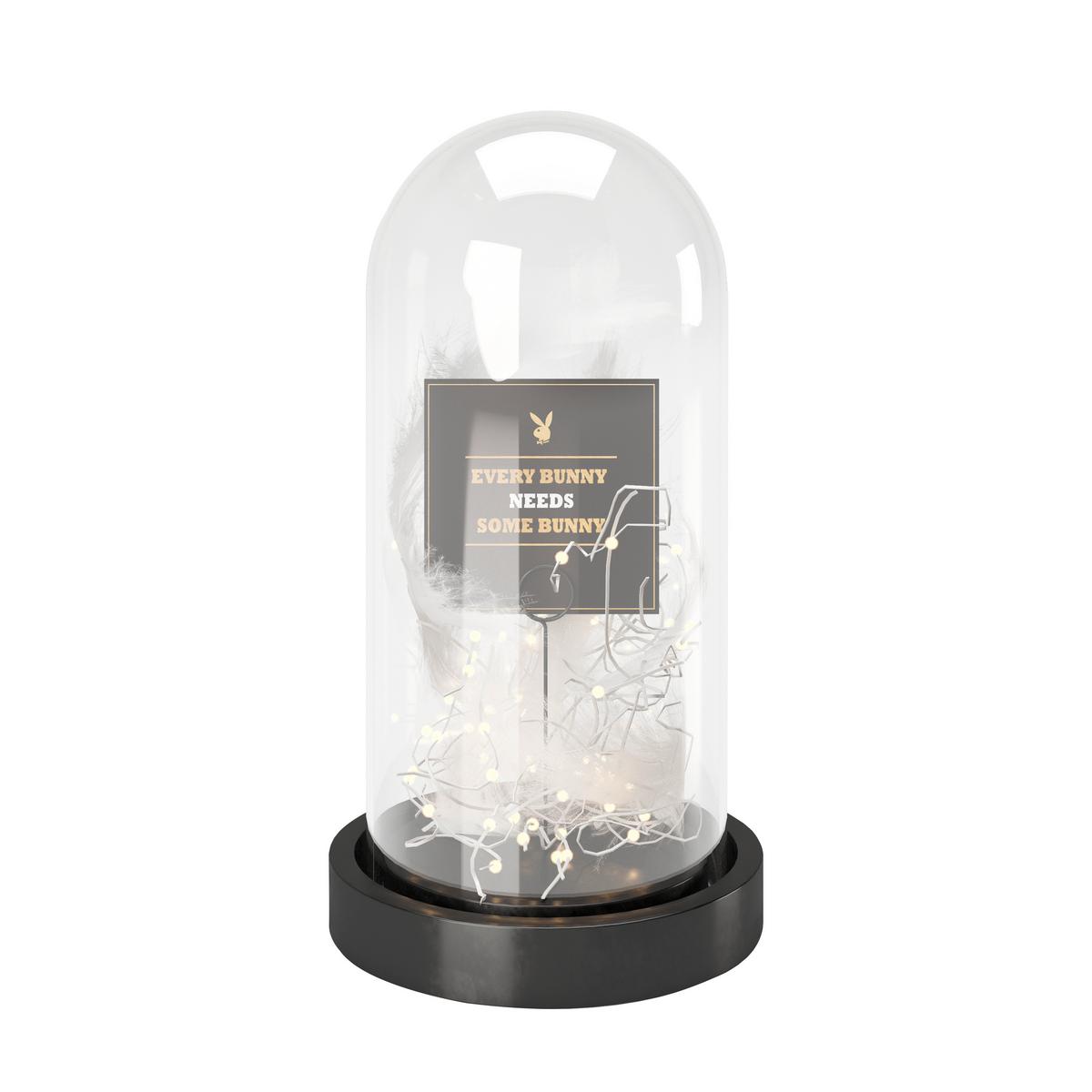 Led-dekoleuchte Ann Schwarz Batterienbetrieb - Schwarz, Basics, Glas/Kunststoff (14/26,7/14cm) - Playboy