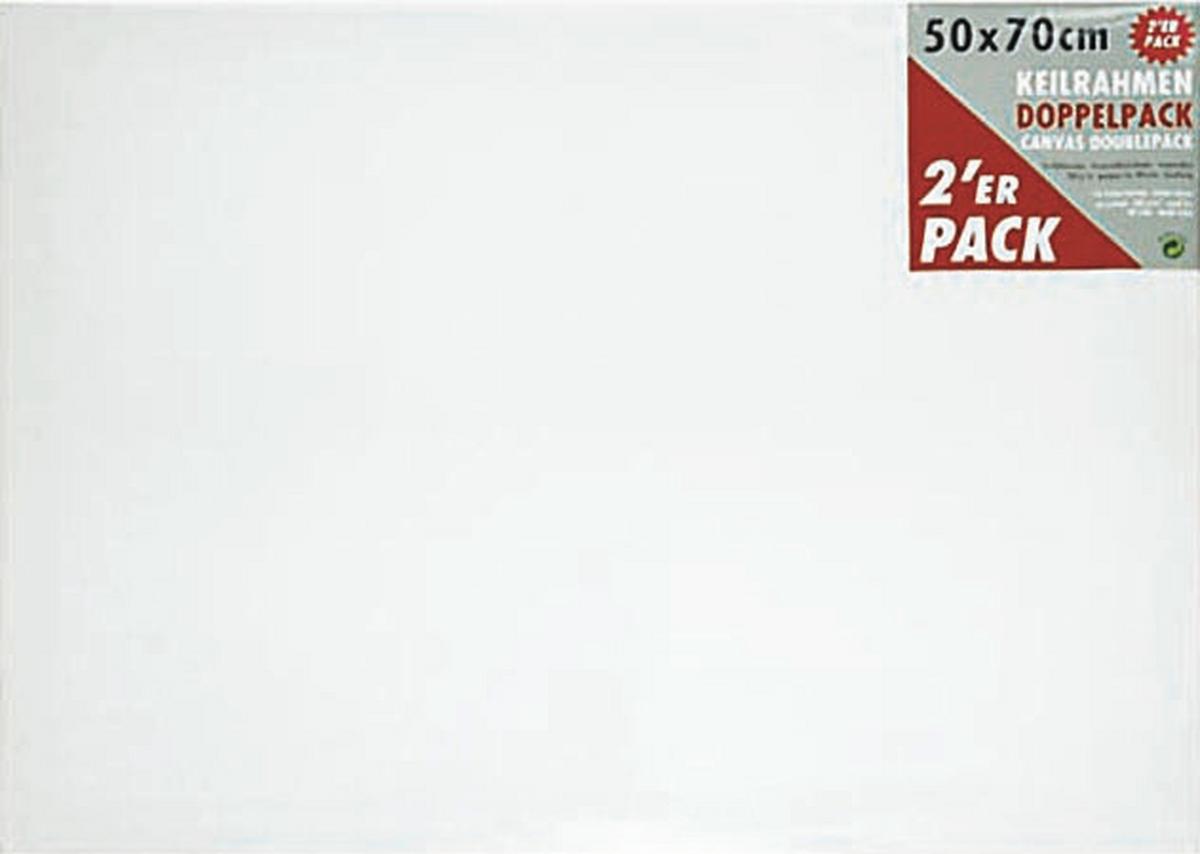 Malířské plátno LEONARDO 2KS / 70/50 cm - bílá, Basics, karton/textil (70/50cm) - Premium Living